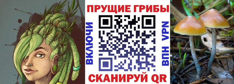 даркнет сайт  Кремёнки  Псилоцибиновые грибы Psilocybine cubensis 